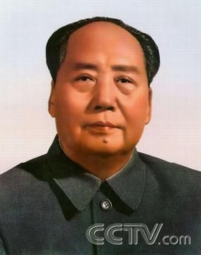 9263232.jpg